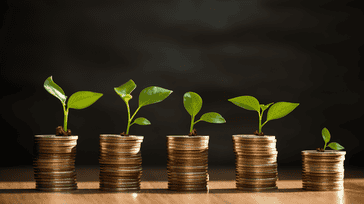 Diversifying Your Wealth: Investment Strategies for Long-Term Growth